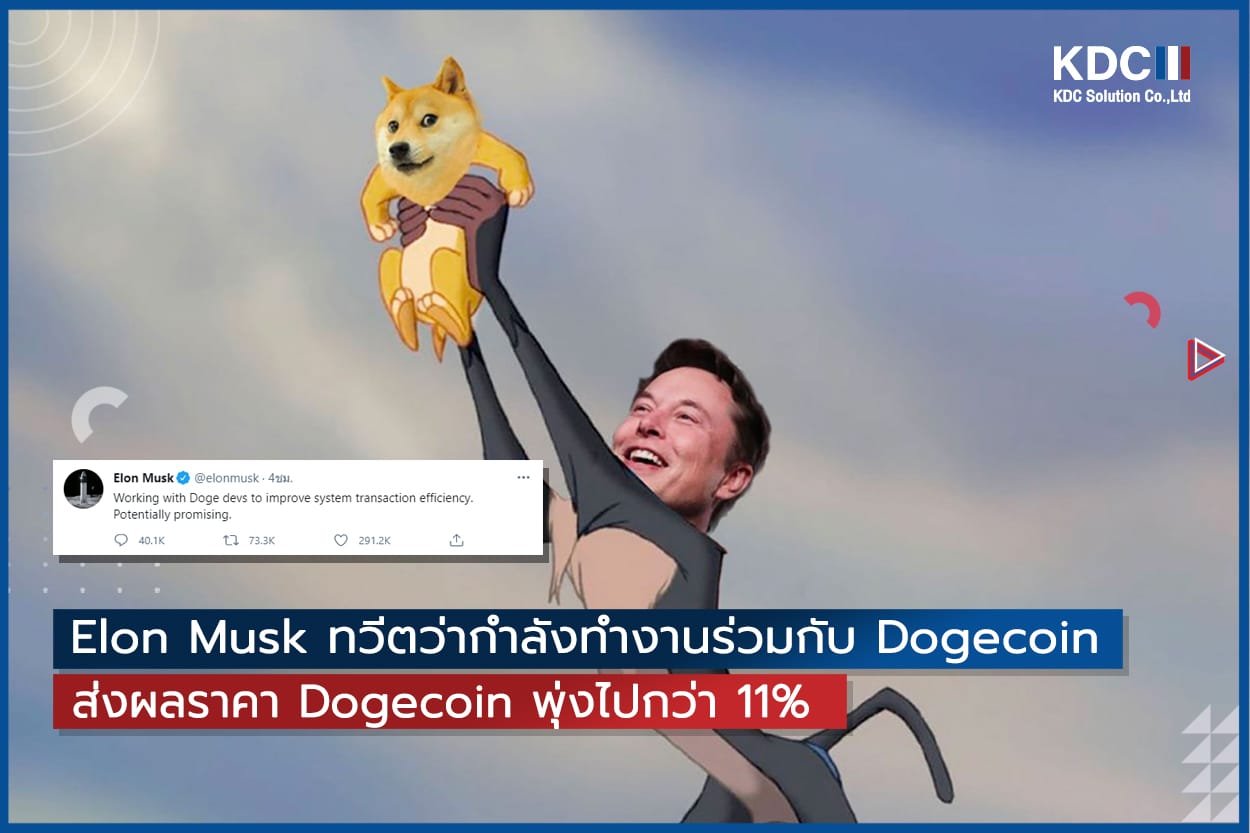 Elon Musk ทวีตว่ากำลังทำงานร่วมกับ Dogecoin