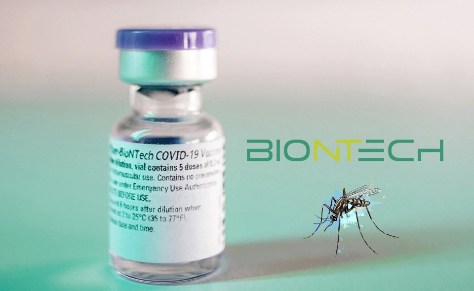 บริษัทเวชภัณฑ์ BioNTech เผยเตรียมพัฒนาวัคซีนต้านมาลาเรีย ด้วย mRNA