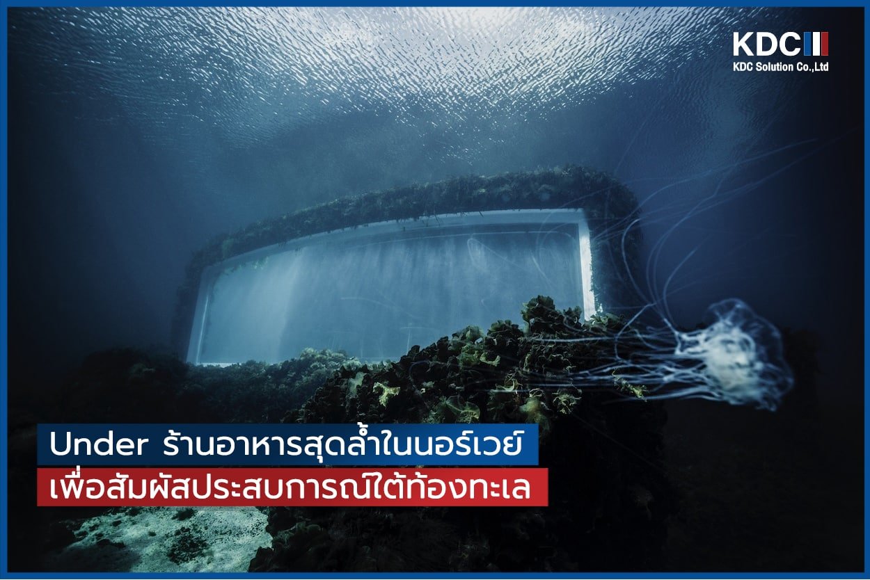 ร้านอาหารใต้น้ำแห่งแรกในยุโรปที่จะพาคุณไปสัมผัสประสบการณ์การทำอาหารใต้ท้องทะเล