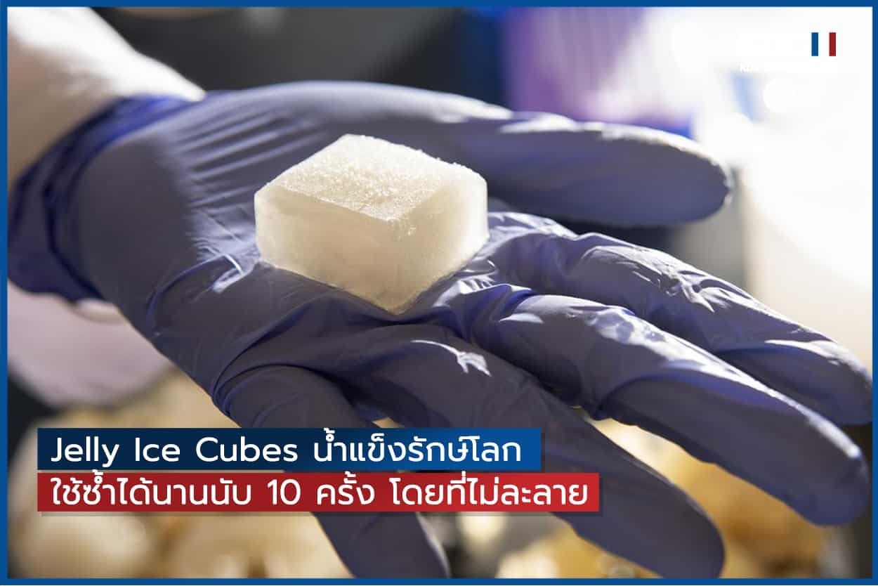 Jelly Ice Cubes น้ำแข็งรักษ์โลก